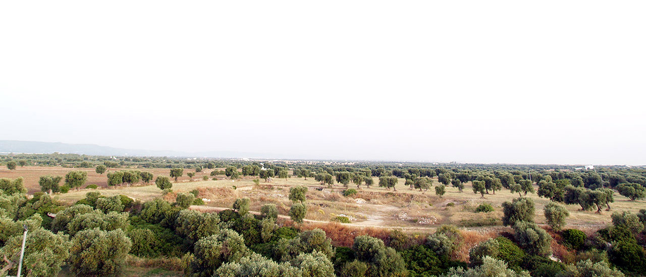 Hotel Residence Masseria Tutosa